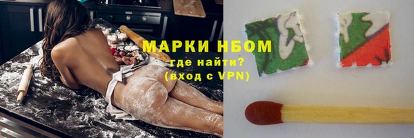 гашик Майский