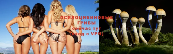 метадон Магадан