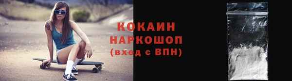 гашик Майский
