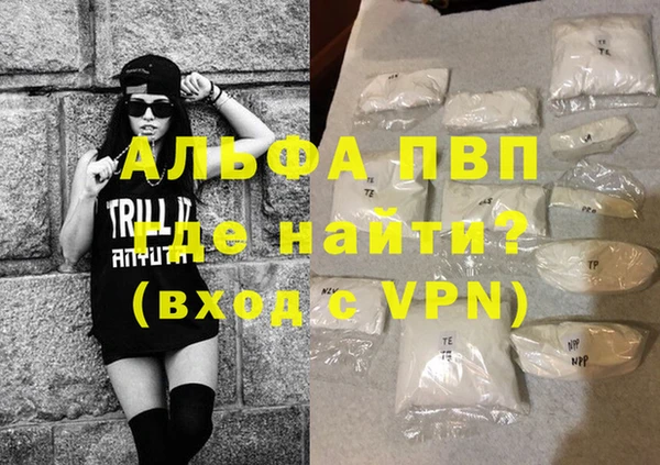 гашик Майский