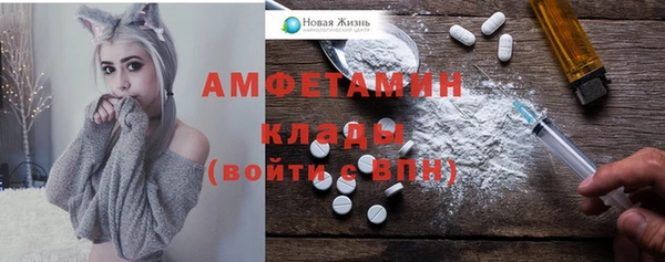 гашик Майский