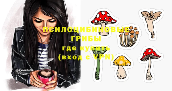 гашиш Магас