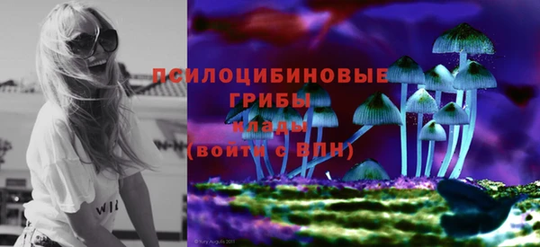 гашиш Магас