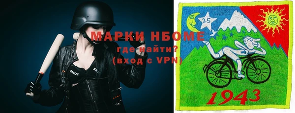 гашик Майский