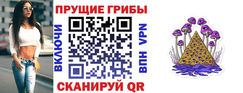 Купить где  Приозерск  Псилоцибиновые грибы ЛСД 